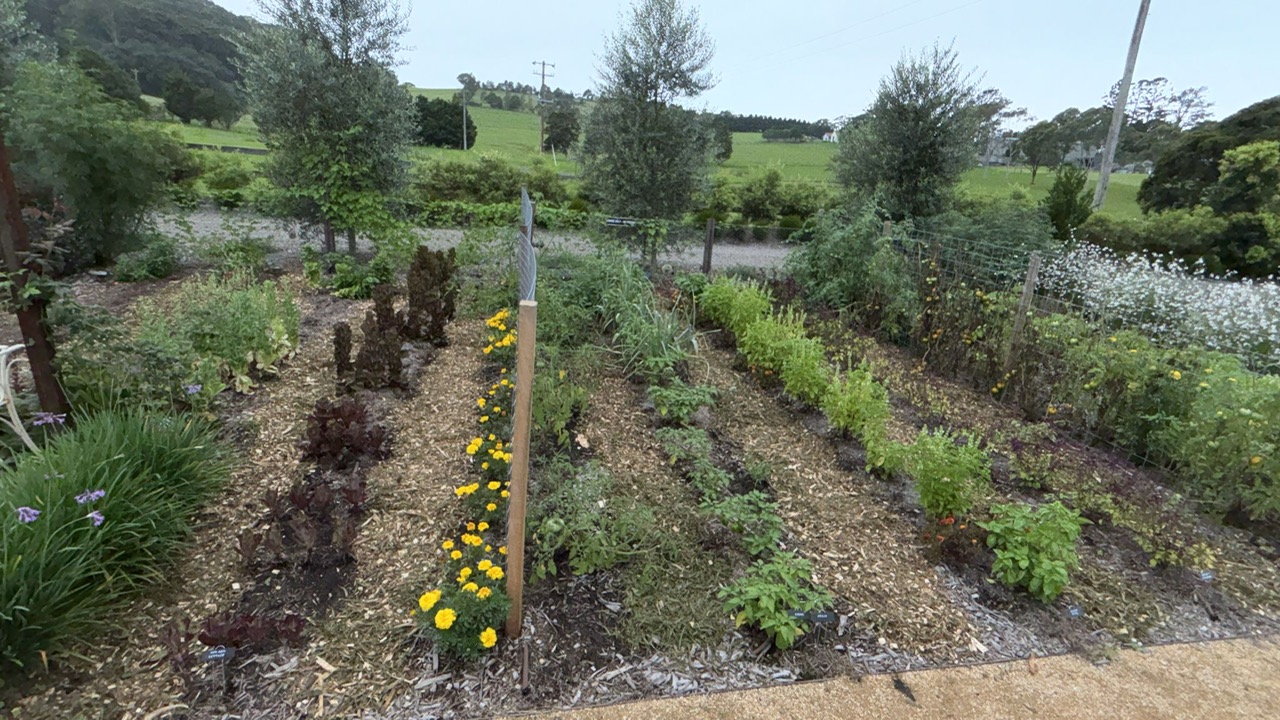 Wide kitchen garden with neat mulch paths, mixed greens and flowers in long rows