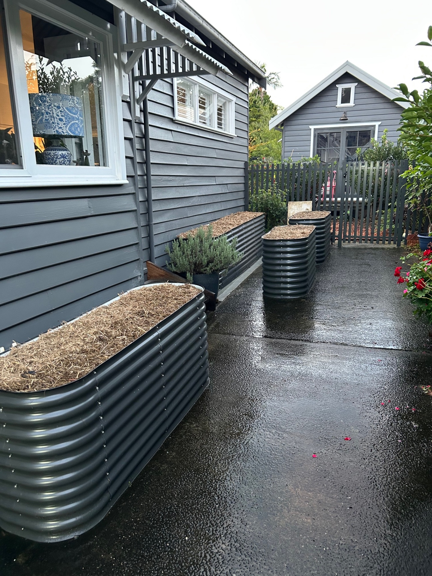 Charcoal corrugated metal raised garden beds beside a grey weatherboard cottage