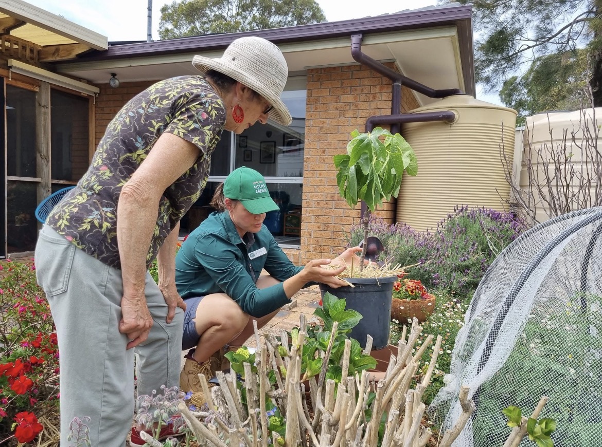 Kitchen Garden Coaching — kitchen garden service