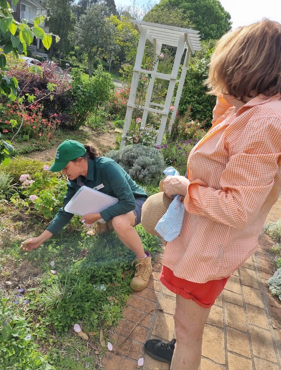 People working together in a community kitchen garden
